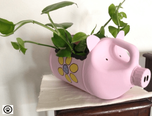 pig project - side view