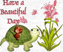 bf473315aa504d47eba2a4dc9bc5c29e