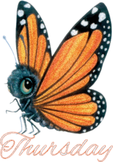 happy-thursday-butterflies-9373733-223-320