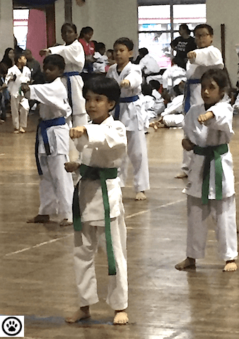 karate test