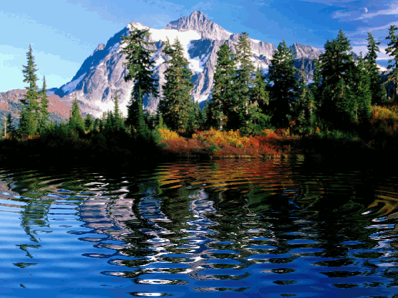 1f59d95bd0a77ee5d26cffc4323aa794