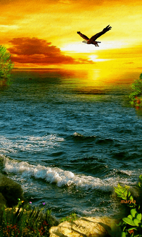 db3b638a7d22a77f29cf6c7d1d1d6d2b