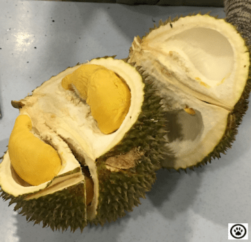 durian