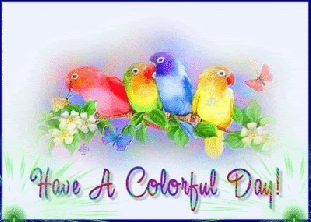 good2bmorning2bgif2bphoto2bfor2bwhatsapp