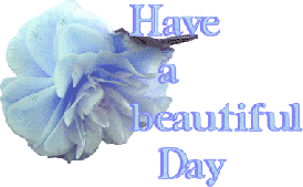 have-a-beautiful-day-glitter-1