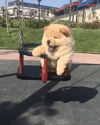 67af2c7bd7d1e645348b018b59de1890