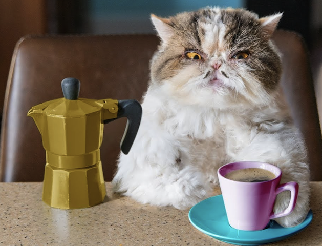 cute cat with coffee.png