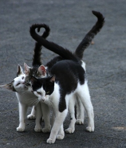 love one another.jpg