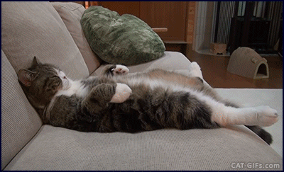 488f457311316612547f668a89322213