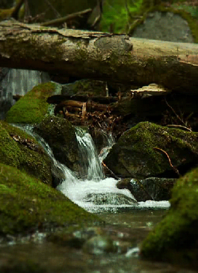 nature-scene-river-animated-gif-2