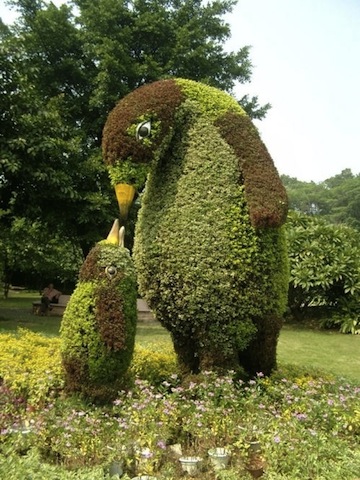 penguin topiary