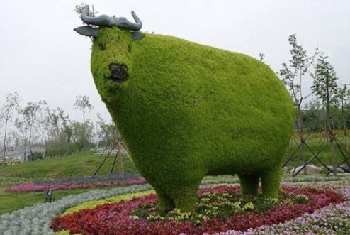 Topiary-bull