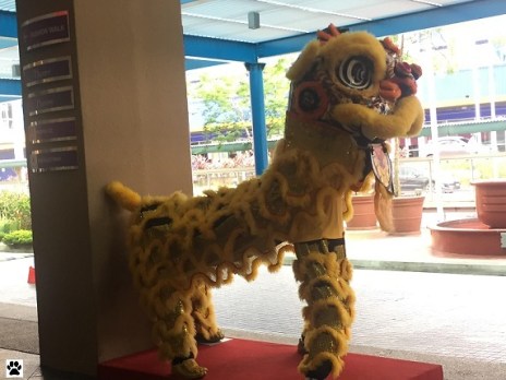 lion dance