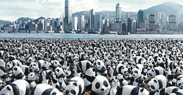 too many pandas