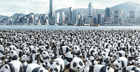 too many pandas
