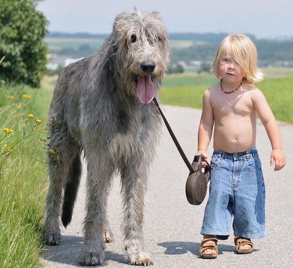 cute boy with big dog