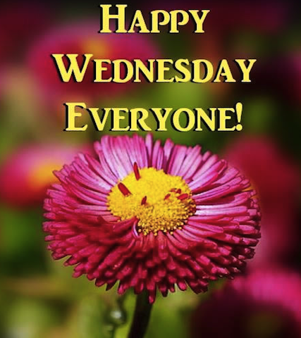 happy wednesday
