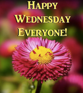 happy wednesday
