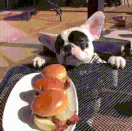 c6b294786cee125c28fa6ce7984c993d