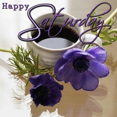 Happy-Saturday