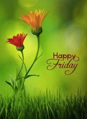 happy friday