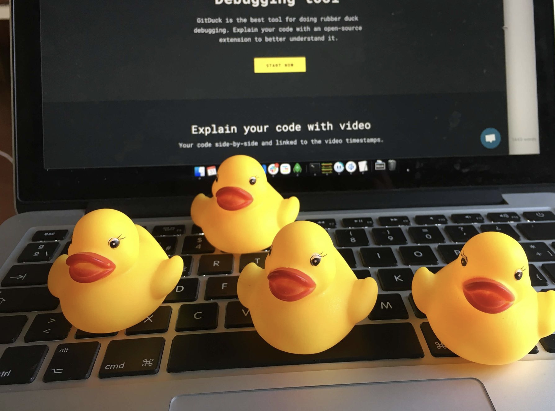 Joke of the day – Conduckt | New Bloggy Cat [NBC]